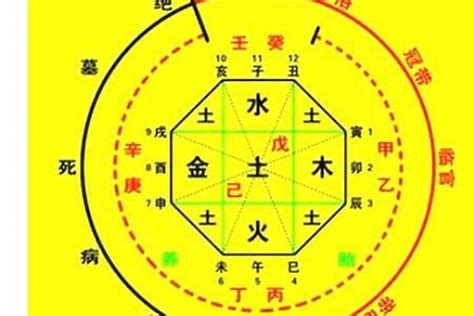 喜神意思|八字入门基础 第六篇 如何判断八字喜用神